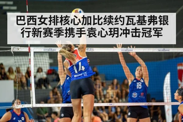 巴西女排核心加比续约瓦基弗银行新赛季携手袁心玥冲击冠军